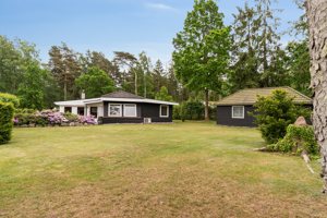 Set fra haven
