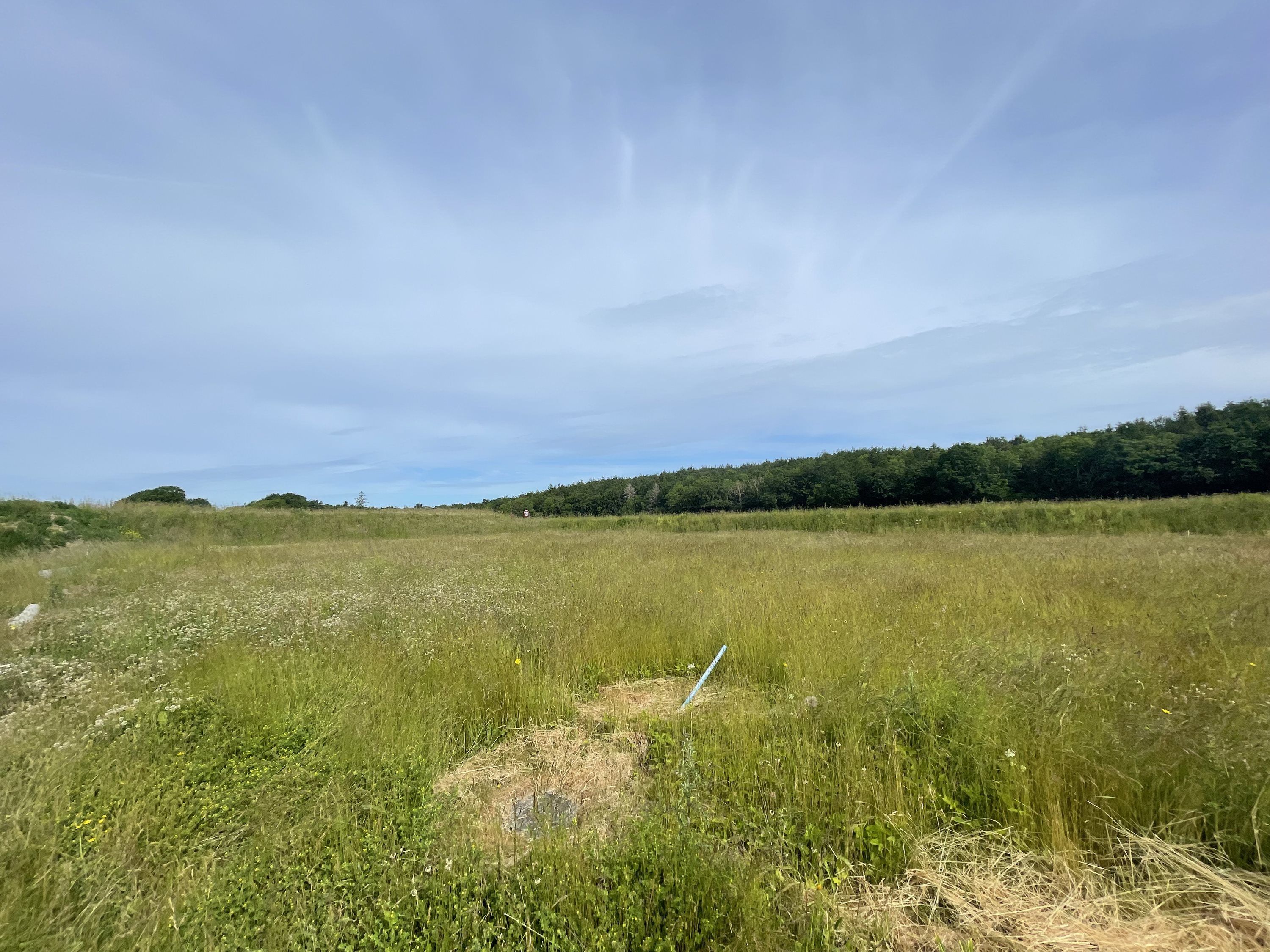 Grund, 1063 m²