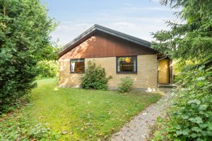 Set fra haven