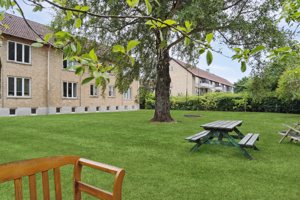 Set fra haven