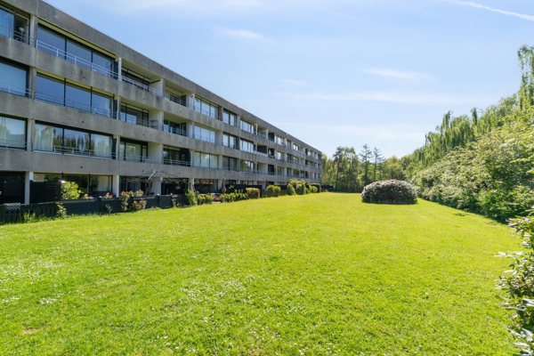 Gårdmiljø