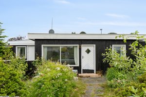 Set fra haven
