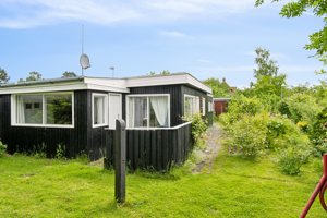 Set fra haven