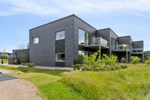 Set fra haven