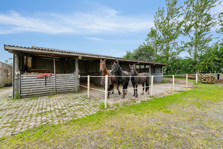 Gl. 34 Landejendom til Salg danbolig