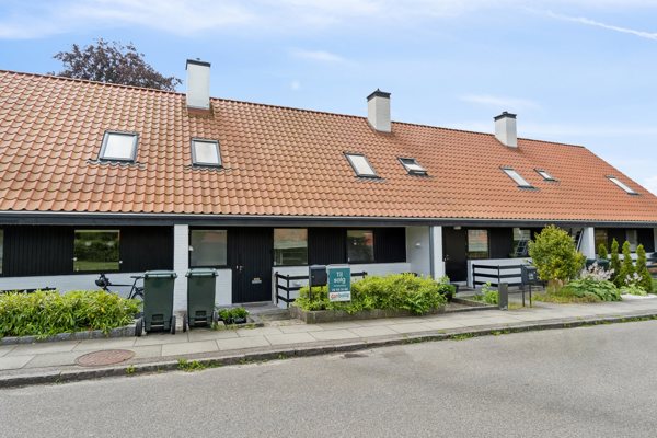 Set fra vejen