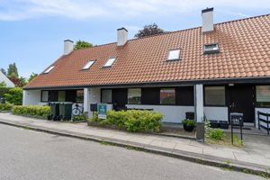 Set fra vejen