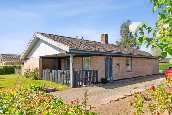 Set fra haven