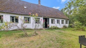 Set fra haven