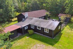 Set fra haven