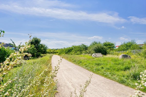 Indkørsel