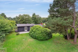 Set fra haven