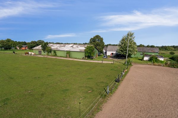 Set fra haven