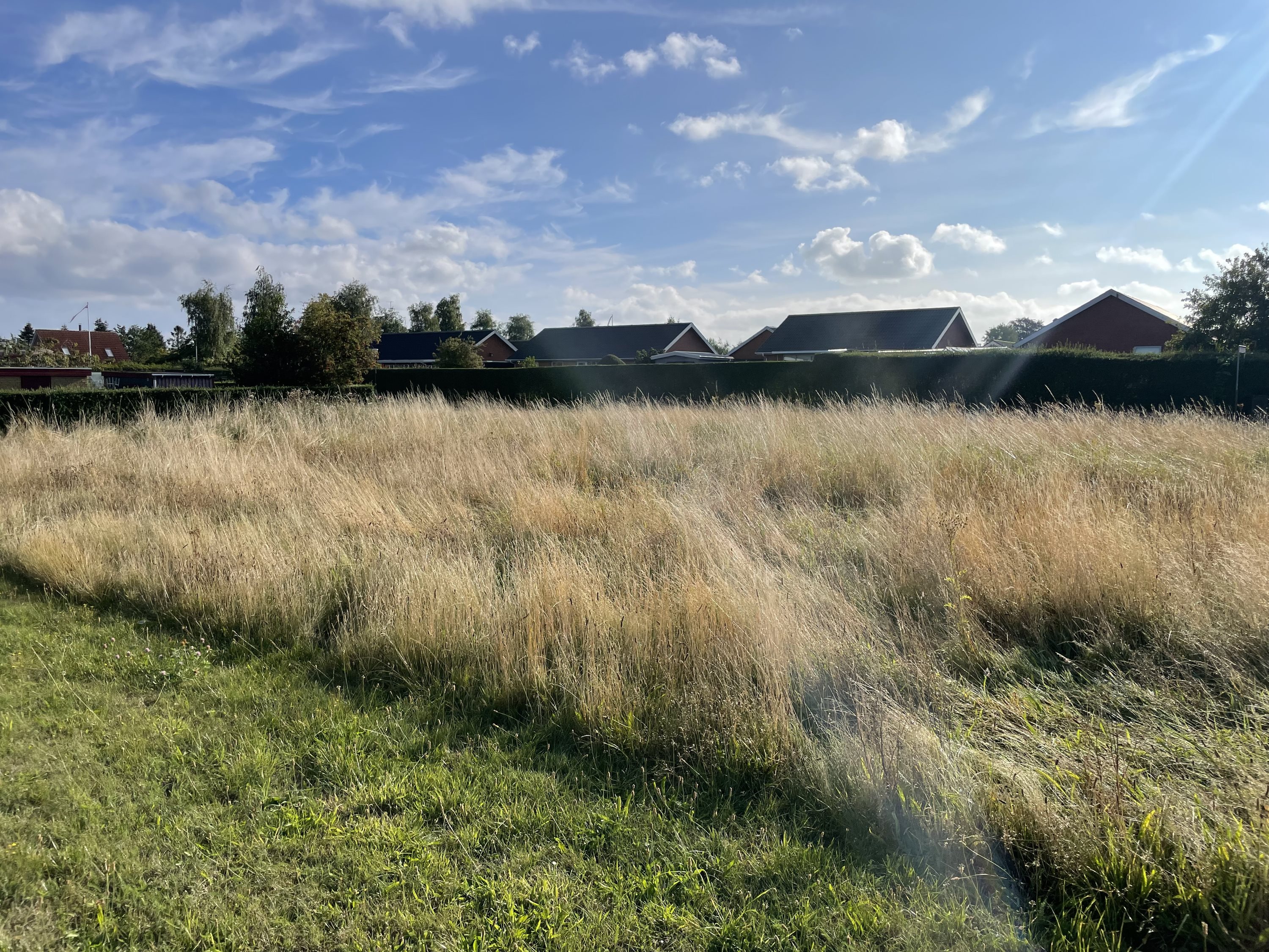 Grund, 452 m²