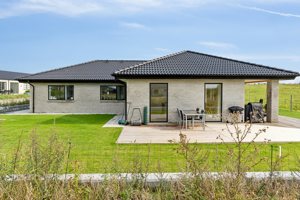 Set fra haven