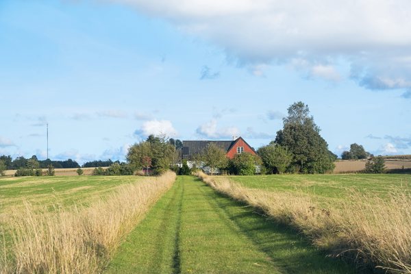 Område