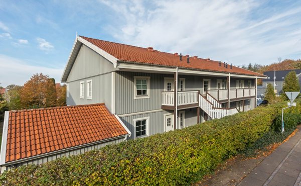 Set fra vejen