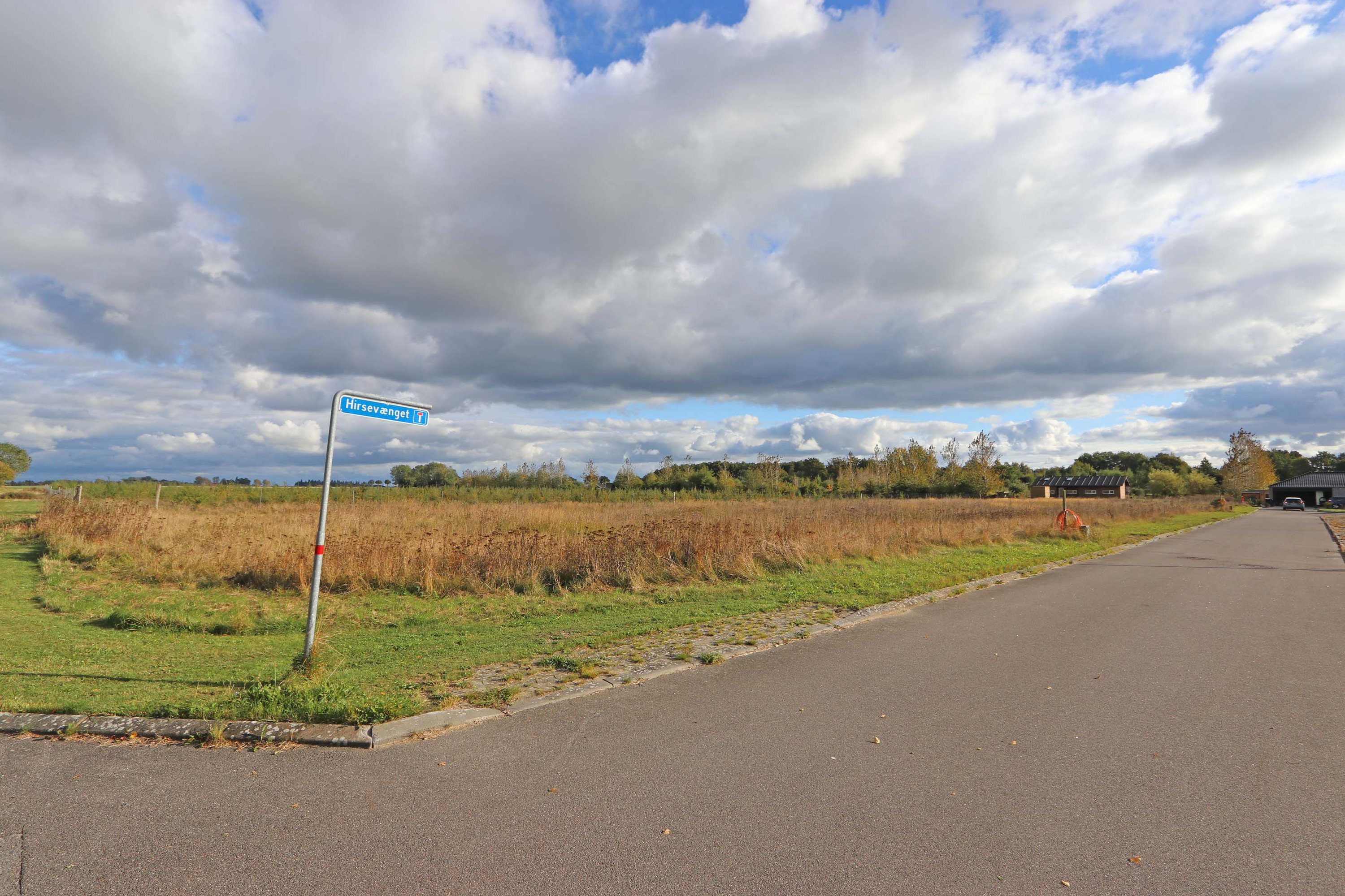 Hirsevænget 2