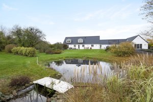 Set fra haven