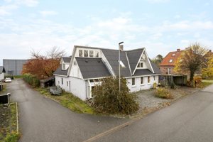 Set fra vejen