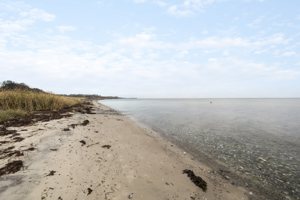 Omgivelser