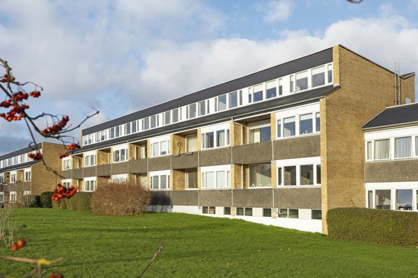 Gårdmiljø