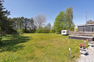 Set fra haven