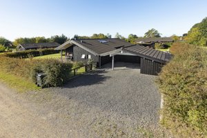 Indkørsel