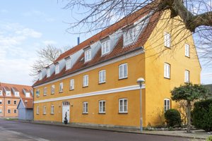 Set fra vejen