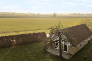 Ejendommen