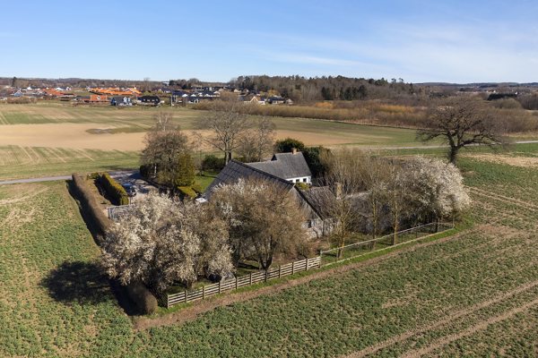 Ejendommen