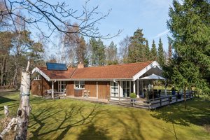 Set fra haven