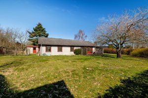 Set fra haven