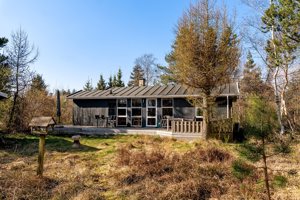 Set fra haven