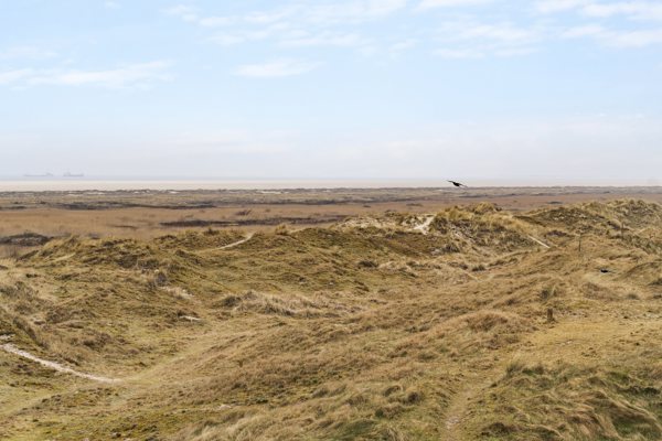 Omgivelser
