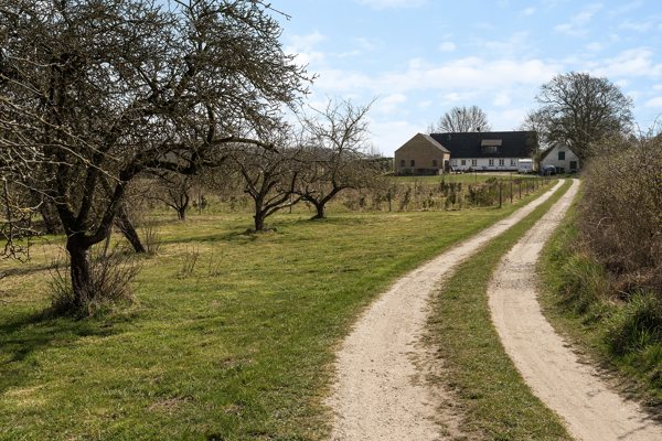 Ejendommen