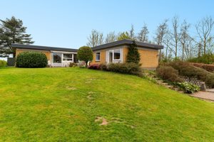 Set fra haven