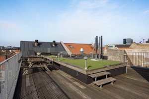 Fælles tagterrasse