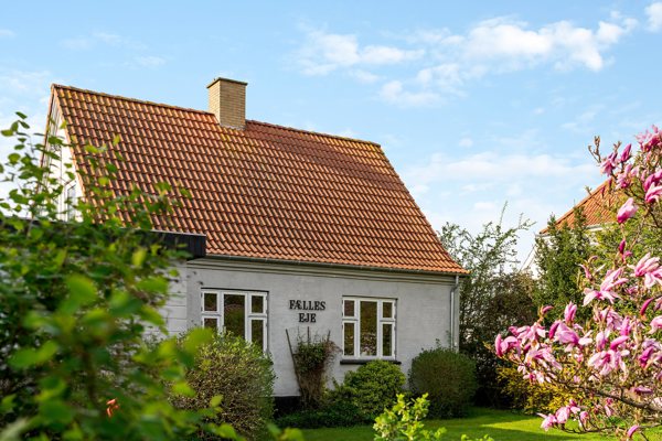 Set fra haven
