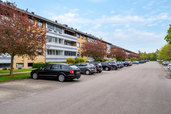 Set fra vejen