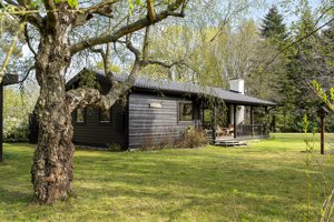 Set fra haven