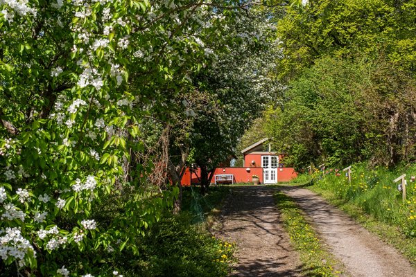 Indkørsel