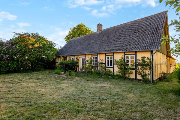 Set fra haven