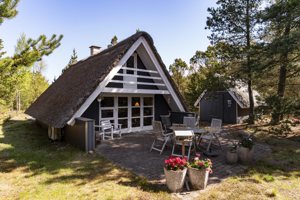 Set fra haven