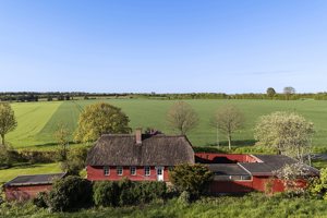 Ejendommen