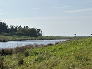 Område