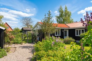 Set fra haven