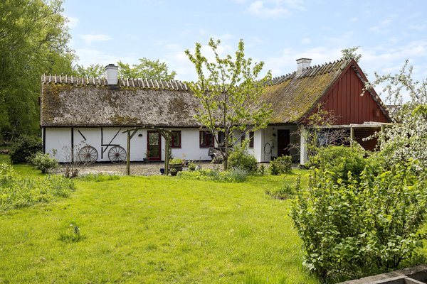 Set fra haven