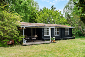 Set fra haven