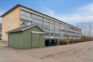 Gårdmiljø